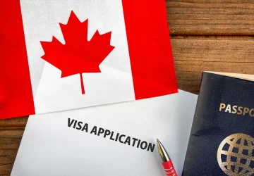 contratos de servicios migratorios